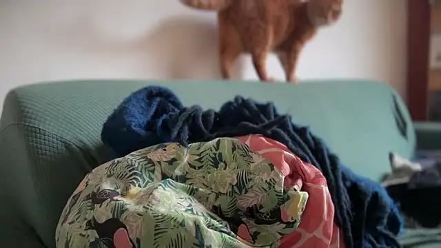 Snapshot of Brianjonest chatting on March 2026 04:21:01 PM Brianjonest online show from March 2026 04:21:01 PM