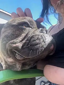 skinwalkingzombie online show from April 2026 08:37:02 PM