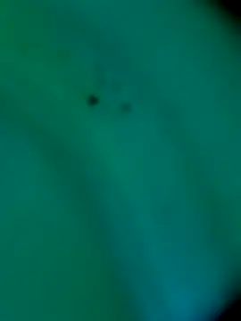 sm4lld1ck online show from October 2025 11:39:01 PM