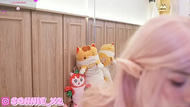 Snapshot of Sonnie_ chatting on January 2025 11:37:02 AM Sonnie online show from January 2025 11:37:02 AM