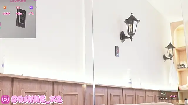 Snapshot of Sonnie_ chatting on January 2025 02:46:02 PM Sonnie online show from January 2025 02:46:02 PM