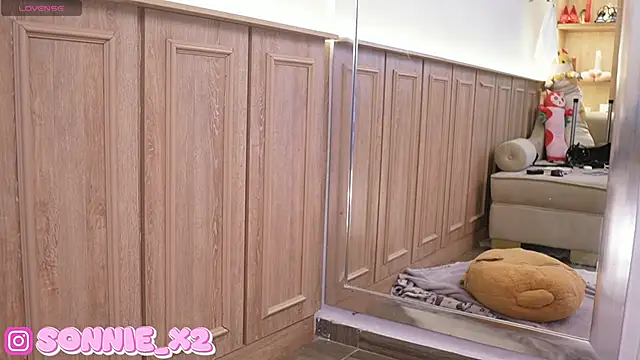 Snapshot of Sonnie_ chatting on February 2025 11:51:01 AM Sonnie online show from February 2025 11:51:01 AM