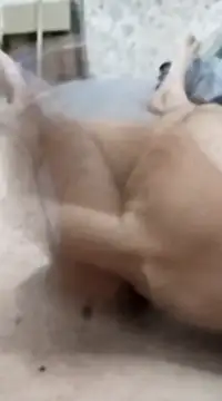 Snapshot of quierodarleche69 chatting on January 2025 03:26:02 AM quierodarleche69 online show from January 2025 03:26:02 AM