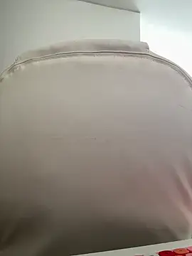 Snapshot of pamell_col chatting on November 2025 01:24:01 PM pamell col online show from November 2025 01:24:01 PM