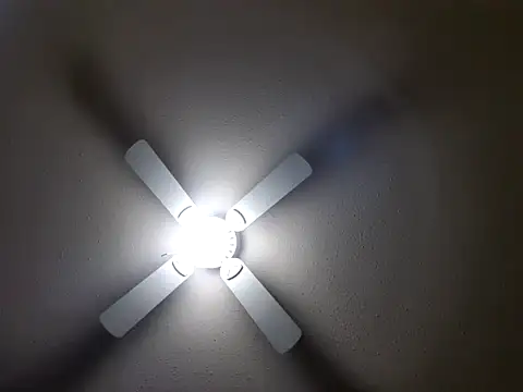 EXOTICLEXXXI online show from January 2025 07:31:01 PM