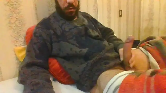 tozebrito hd online show from November 2025 08:27:01 AM