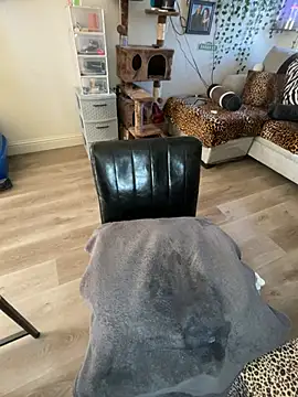 Snapshot of fatfabulous1981 chatting on January 2025 10:02:01 PM fatfabulous1981 online show from January 2025 10:02:01 PM