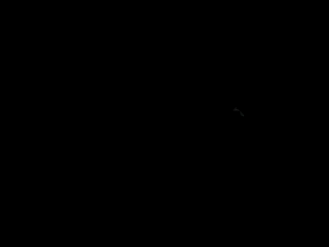 Snapshot of Blkstylion chatting on June 2026 10:08:01 AM Blkstylion online show from June 2026 10:08:01 AM