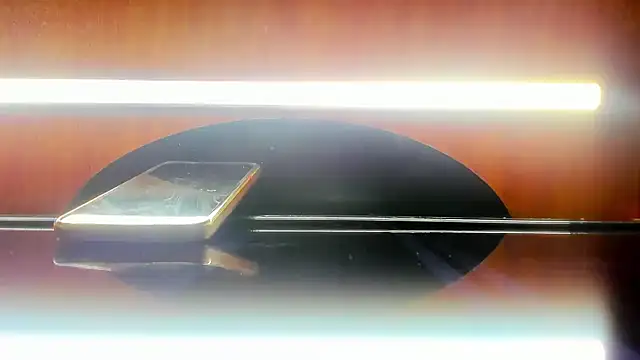 Snapshot of harly__queen chatting on February 2025 06:42:01 PM harly queen online show from February 2025 06:42:01 PM