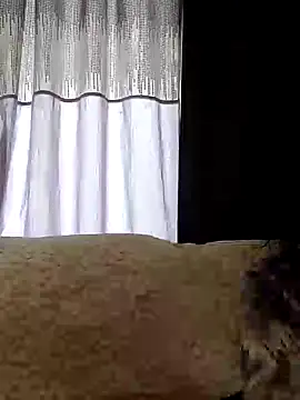 Snapshot of SidneyRaee chatting on February 2025 04:52:01 PM SidneyRaee online show from February 2025 04:52:01 PM