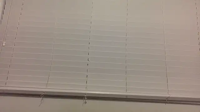 lilboygonewild online show from November 2025 10:58:01 AM