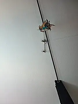 Snapshot of dieGeile0411 chatting on October 2025 09:49:01 AM dieGeile0411 online show from October 2025 09:49:01 AM