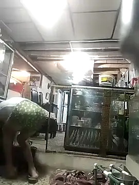 cristalzeus online show from December 2025 11:09:02 PM