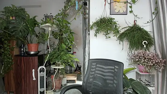 Oliver Nl online show from March 2026 03:45:02 AM