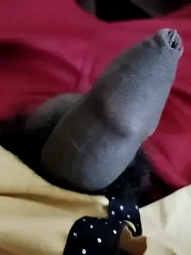 Snapshot of Ashish02345 chatting on December 2024 06:50:01 PM Ashish02345 online show from December 2024 06:50:01 PM