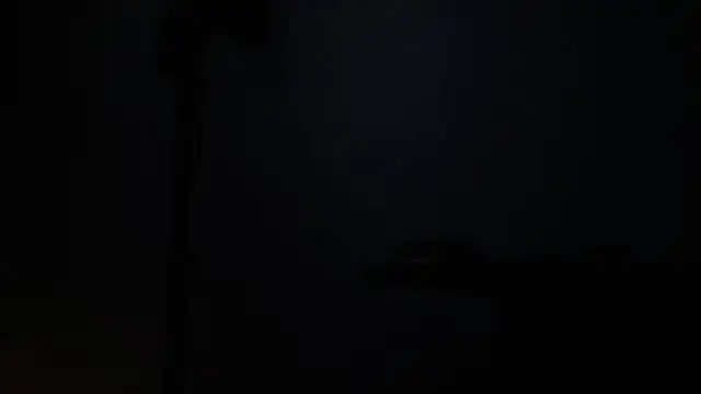 jean sneider online show from February 2025 10:29:02 AM