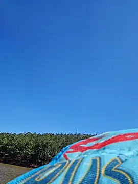 Snapshot of Dixiefaye_Pika chatting on March 2025 08:15:02 PM Dixiefaye Pika online show from March 2025 08:15:02 PM