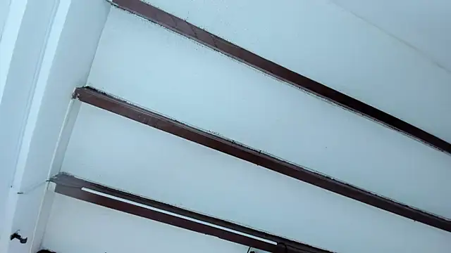 Snapshot of Oriana_Guzman chatting on January 2025 11:01:02 AM Oriana Guzman online show from January 2025 11:01:02 AM