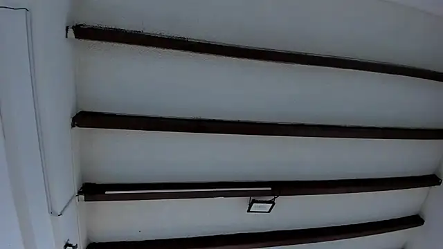 Snapshot of Oriana_Guzman chatting on January 2025 12:06:01 PM Oriana Guzman online show from January 2025 12:06:01 PM