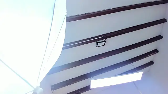 Snapshot of Oriana_Guzman chatting on February 2025 06:41:01 PM Oriana Guzman online show from February 2025 06:41:01 PM