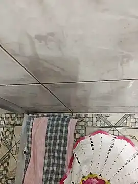 Snapshot of Adee21e chatting on November 2025 03:56:01 AM Adee21e online show from November 2025 03:56:01 AM