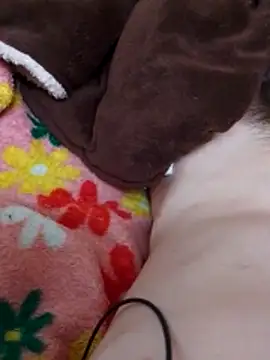 Snapshot of Adee21e chatting on December 2025 02:15:01 PM Adee21e online show from December 2025 02:15:01 PM