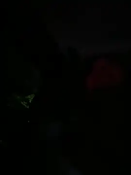 Brunettexio online show from March 2025 12:16:02 AM