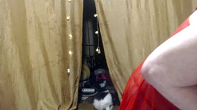  Estelitta 5 online show from January 2025 12:42:01 PM