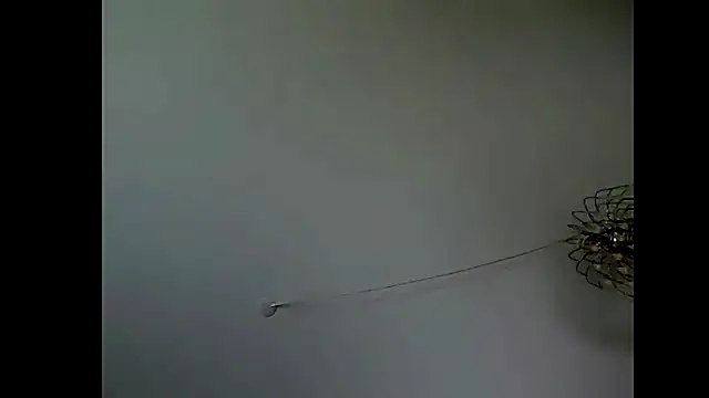 Snapshot of Pegg-fist-me chatting on November 2025 03:29:02 AM Pegg-fist-me online show from November 2025 03:29:02 AM