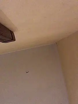 ClatteryPrexy online show from March 2026 12:58:02 AM