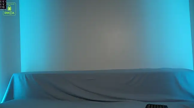 Snapshot of BrandonNorris chatting on December 2024 02:32:01 AM BrandonNorris online show from December 2024 02:32:01 AM