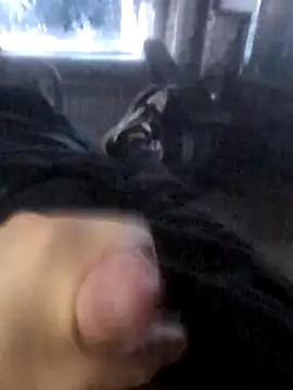 Boysex227 online show from March 2026 04:27:01 AM