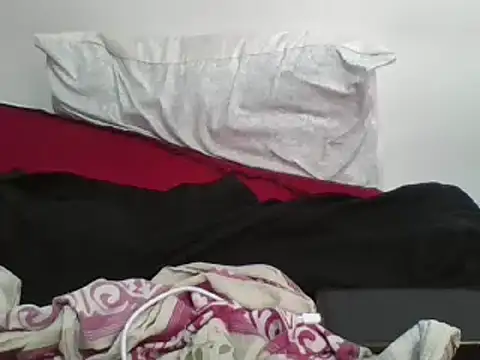 Whimsicalwillow online show from February 2025 01:13:02 PM