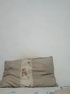 Bulletact online show from July 2026 10:34:02 PM