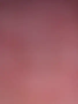 Armyexhibitionistvet online show from May 2026 11:16:02 AM