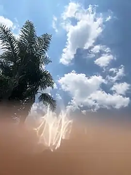 THEBUTTERNUT online show from February 2026 11:02:01 AM