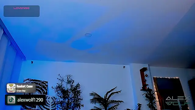 Snapshot of alex_wolf_ chatting on January 2025 05:21:02 AM alex wolf online show from January 2025 05:21:02 AM