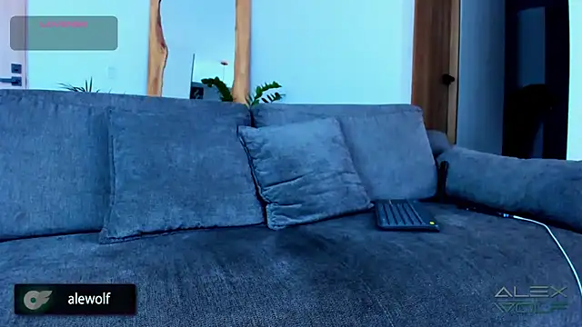 alex wolf  online show from November 2025 02:42:01 PM