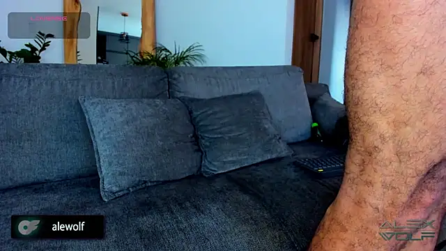 Snapshot of alex_wolf_ chatting on February 2026 10:19:02 PM alex wolf online show from February 2026 10:19:02 PM