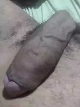 fabiusR online show from April 2026 02:25:01 AM