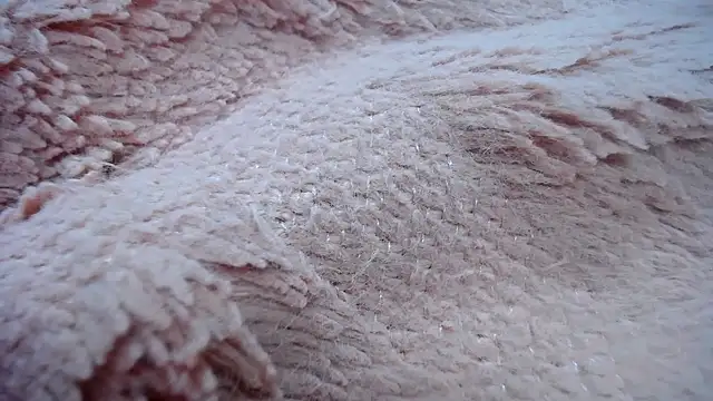 RACHELL  HOT online show from January 2025 09:18:01 PM