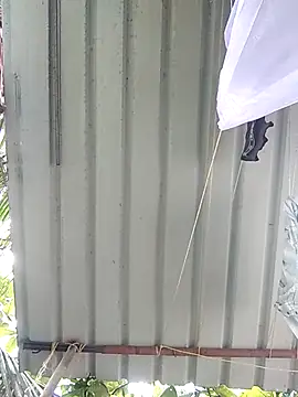 Snapshot of Mafiya1604 chatting on September 2025 04:17:02 AM Mafiya1604 online show from September 2025 04:17:02 AM