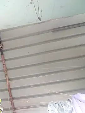 Snapshot of Mafiya1604 chatting on September 2025 04:17:01 AM Mafiya1604 online show from September 2025 04:17:01 AM