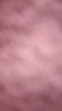 chalaHot online show from December 2024 11:24:01 PM