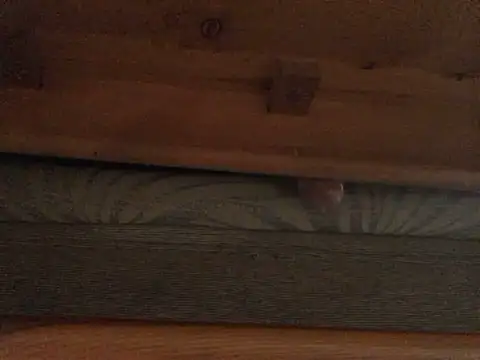 Dicksexhandjob online show from February 2025 01:33:01 PM