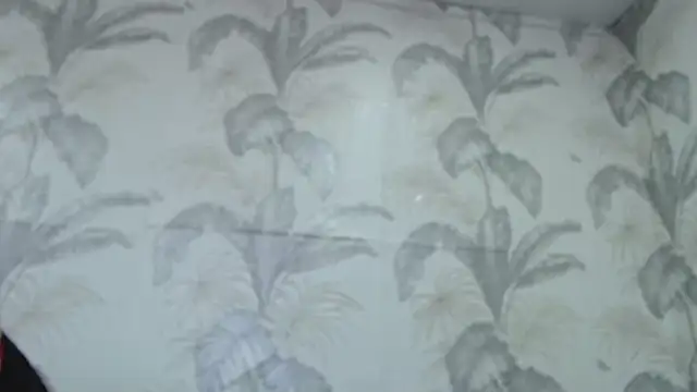 Snapshot of CamDiva113 chatting on February 2025 10:07:02 AM CamDiva113 online show from February 2025 10:07:02 AM