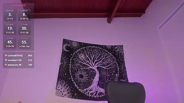 Snapshot of AramJoness chatting on December 2024 09:50:02 AM AramJoness online show from December 2024 09:50:02 AM