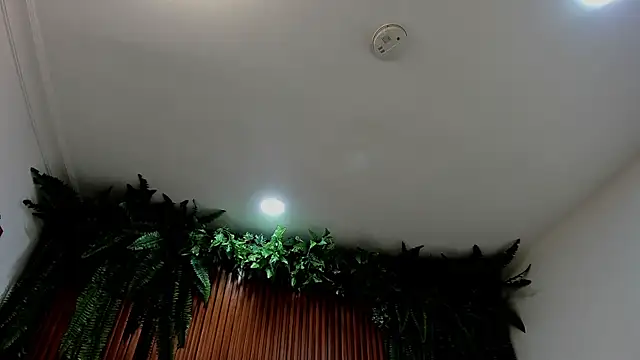 alice greco online show from March 2026 07:10:02 PM