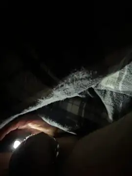 Shyboy817 online show from March 2026 04:18:01 AM