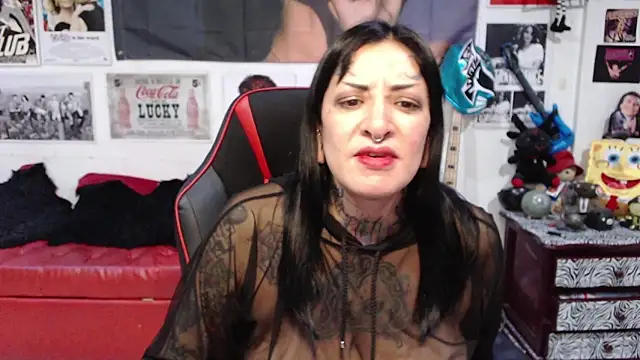 Snapshot of Rollyderolandia666 chatting on December 2024 11:57:01 PM Rollyderolandia666 online show from December 2024 11:57:01 PM